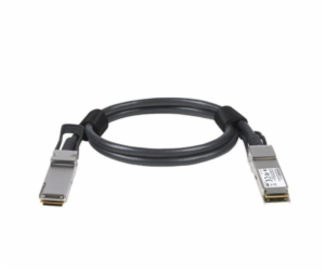 Netgear 3M QSFP28 100G DAC CABLE PASSIVE