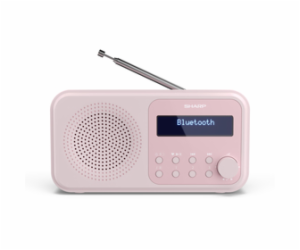 Sharp DR-P420PK FM/DAB 