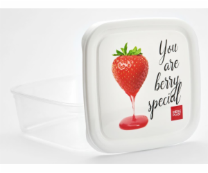 Box jídelní 1 l s potiskem plast