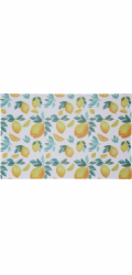 Prostírání 43,5x28,5 cm SUMMER FRUITS plast