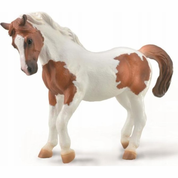Figurka Collecta COLLECTA CHINCOTEAGUE PONY Kaštan PINTO