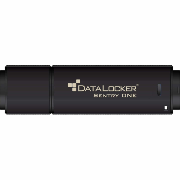 Pendrive Datalocker Sentry One, 128 GB (Sone128)