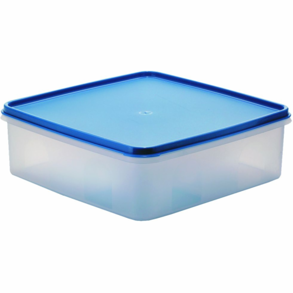 Box s víkem 5L MAXI hranatý