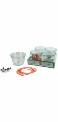 WECK Mold Jar 0,25l Set of 4