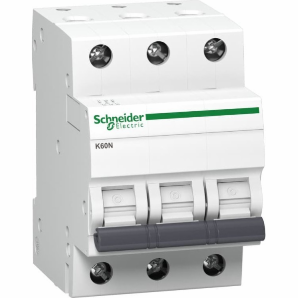 Elektrická hypertrofie Schneider