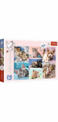 Trefl Puzzle 100 dílků V kočičím světě
