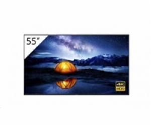 Sony Bravia Professional Displays FW-55BZ40L - 55" Třída ...