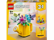 6090564