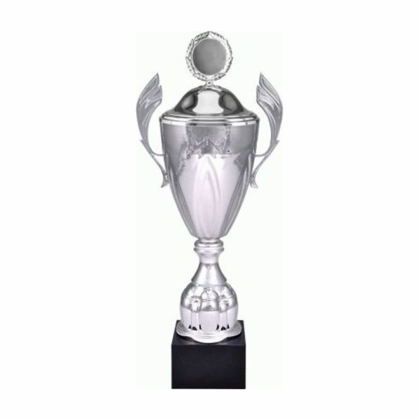 Kovový pohár Victoria Sport Gold s krytem 4127/AP