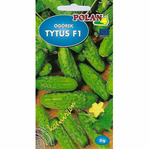 Polan Cucumber Ground Tytus - Hybrid Seeds 3g Pola