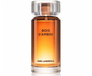 Karl Lagerfeld Bois d Ambre EDT 100 ml