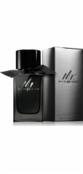 Burberry Mr. Burberry EDP 100 ml
