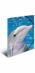 Herma Sammelmappe A3 složka Delfin Polypropylen