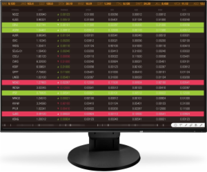 EIZO FlexScan EV2456-BK - LED monitor - 24.1" - 1920 x 12...
