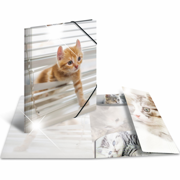 Herma Folder A4 Lesklý Katze