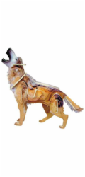 Woodcraft Dřevěné 3D puzzle Vlk barevný