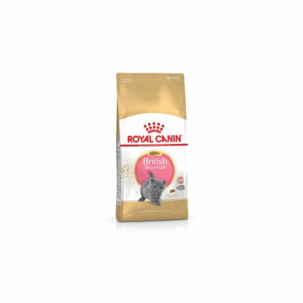 ROYAL CANIN British Shorthair Kitten - suché krmivo pro k...