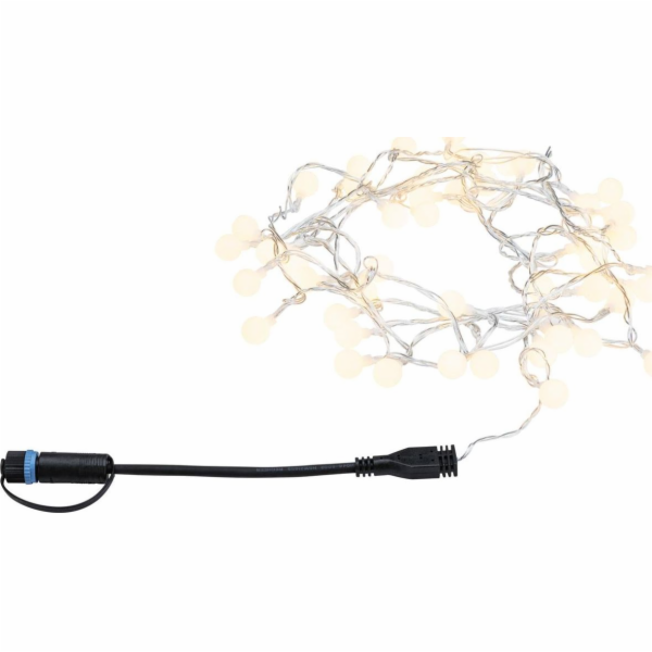 Paulmann Outdoor Plug & Shine string light 5 IP44 3000K 4...
