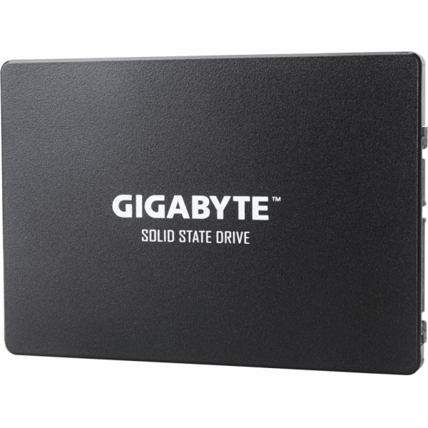 Gigabyte 1TB 2.5 SATA III SSD (GP-GSTFS31100TNTD)