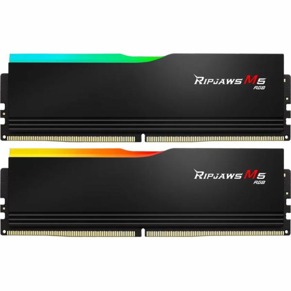 G.Skill DIMM 48 GB DDR5-5200 (2x 24 GB) duální sada, RAM