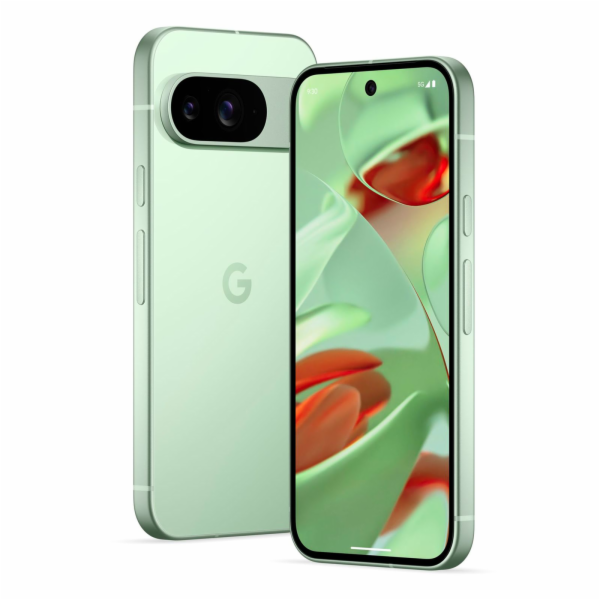 Google Pixel 9 - 128GB Wintergreen, USA