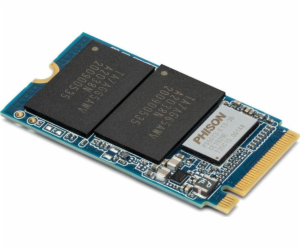 Aura P13 Pro 2TB, SSD