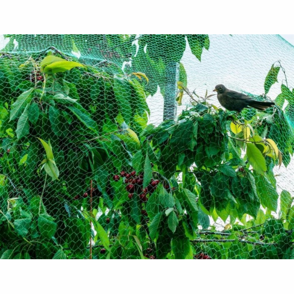 Síť pro ptáky Garden Center 4x5 m zelená