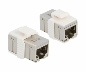 DeLOCK adaptér Zásuvka RJ-45 > Zásuvka RJ-45 kompaktní, C...