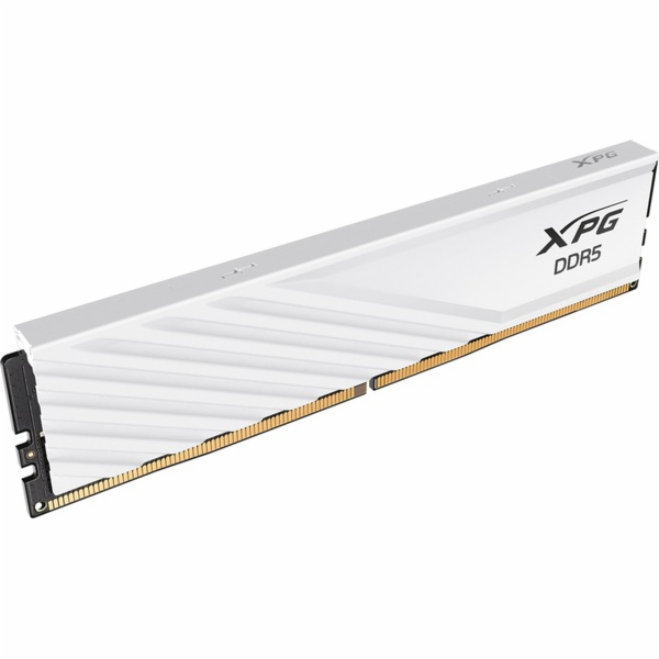 ADATA DIMM 16 GB DDR5-6400 (1x 16 GB), RAM