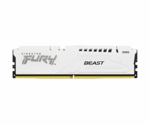 Kingston FURY DIMM 16GB DDR5-6000, RAM