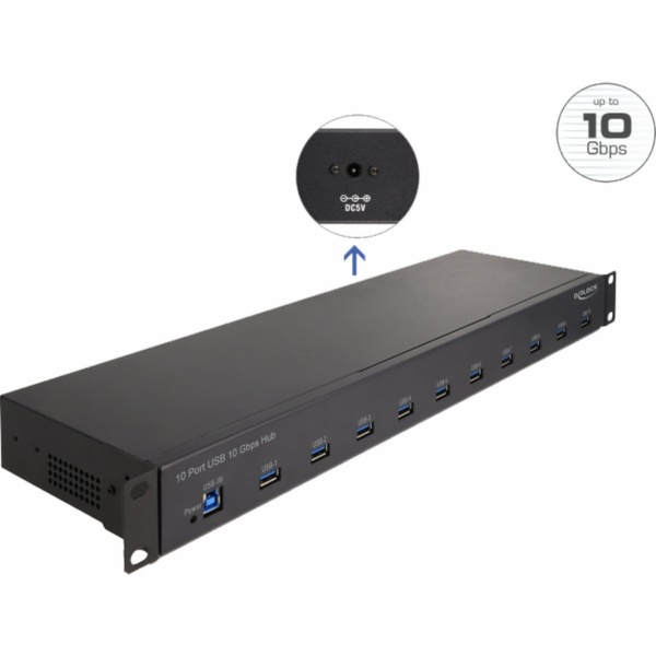DeLOCK 19? Průmyslový Hub 10 x USB 10 Gbps Typ-A