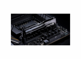 G.Skill DIMM 48 GB DDR5-9000 (2x 24 GB) duální sada, RAM
