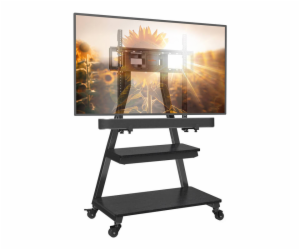 43-80" TV mount Perlegear PGFS08-US