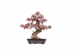 RoboTime 3D dřevěná skládačka Bonsaj sakura