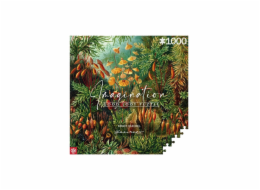 Good Loot Puzzle 1000 Ernst Haeckel Muscinae