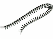 7260755