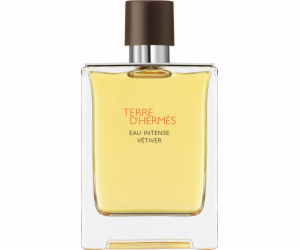 Hermes Terre d Hermes Eau Intense Vetiver EDP 100 ml