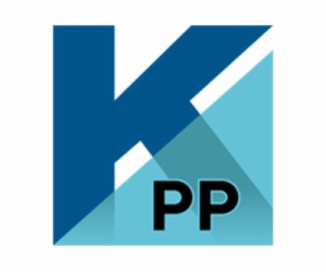 Kofax PaperPort Professional - (v. 14) - licence - 1 uživ...