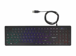 Delock - Klávesnice - podsvícení - USB - QWERTZ - německá - černá - maloobchod