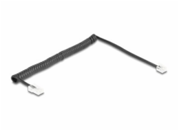 Delock - Telefonní kabel - RJ-45 (M) do RJ-11 (M) - 2 m - svinutý - černá