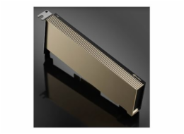 NVIDIA A2 - Grafický počítačový procesor - NVIDIA A2 Tensor Core - 16 GB GDDR6 - PCIe 4.0 x8 nízký profil - bez ventilátoru