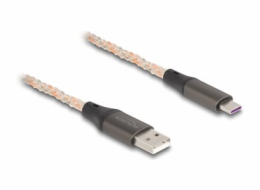 Delock - USB kabel - USB (M) do 24 pin USB-C (M) - USB 2.0 - 5 V - 3 A - 1 m - osvětlení RGB - průhledná, měděná barva