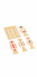 Bigjigs Toys Dřevěné puzzle Anatomie chlapec