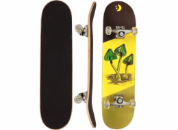 Skateboard Nejlepší sportovní skateboard dřevěné houby