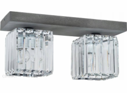 Stropní svítidlo Stropní světlo Spot Light Gallant 2x60W E27 beton/transparent 2244236