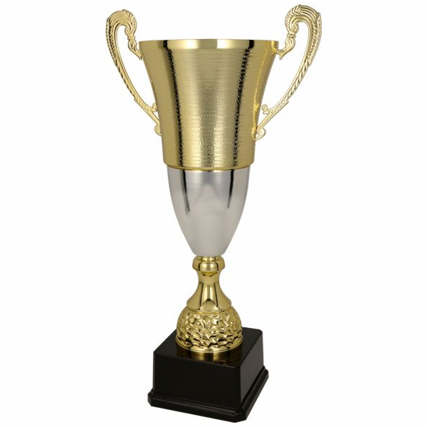 Triumph Cup kovový zlato-stříbrný (2071E)