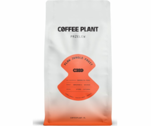 Kávovník FLOW Jungle Fruit 800g kávových zrn