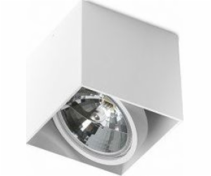 Stropní svítidlo Torino Alex 1x50W (GM4112)