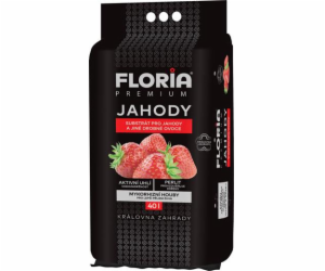 Substrát Agro  FLORIA pro jahody 40 l, otoč a sázej