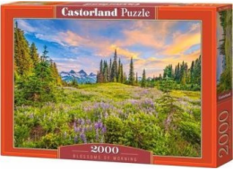 Castorland Puzzle 2000 Květy rána